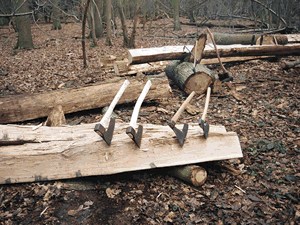 Hewing oak planks.